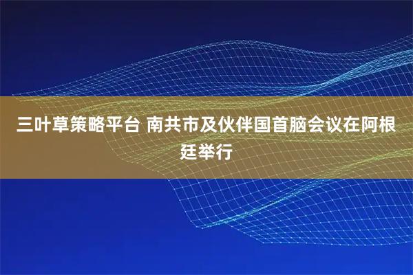 三叶草策略平台 南共市及伙伴国首脑会议在阿根廷举行