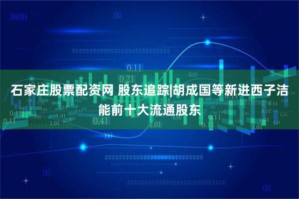 石家庄股票配资网 股东追踪|胡成国等新进西子洁能前十大流通股东